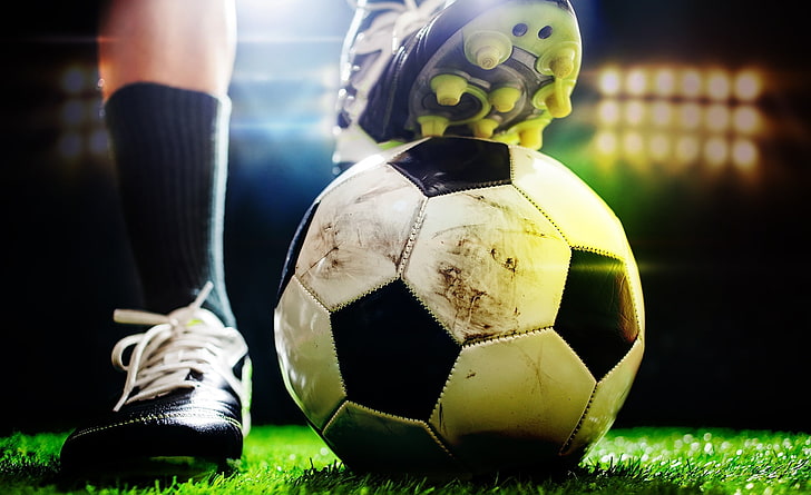 博鱼官方体育登录入口为什么乒乓球台感觉变小